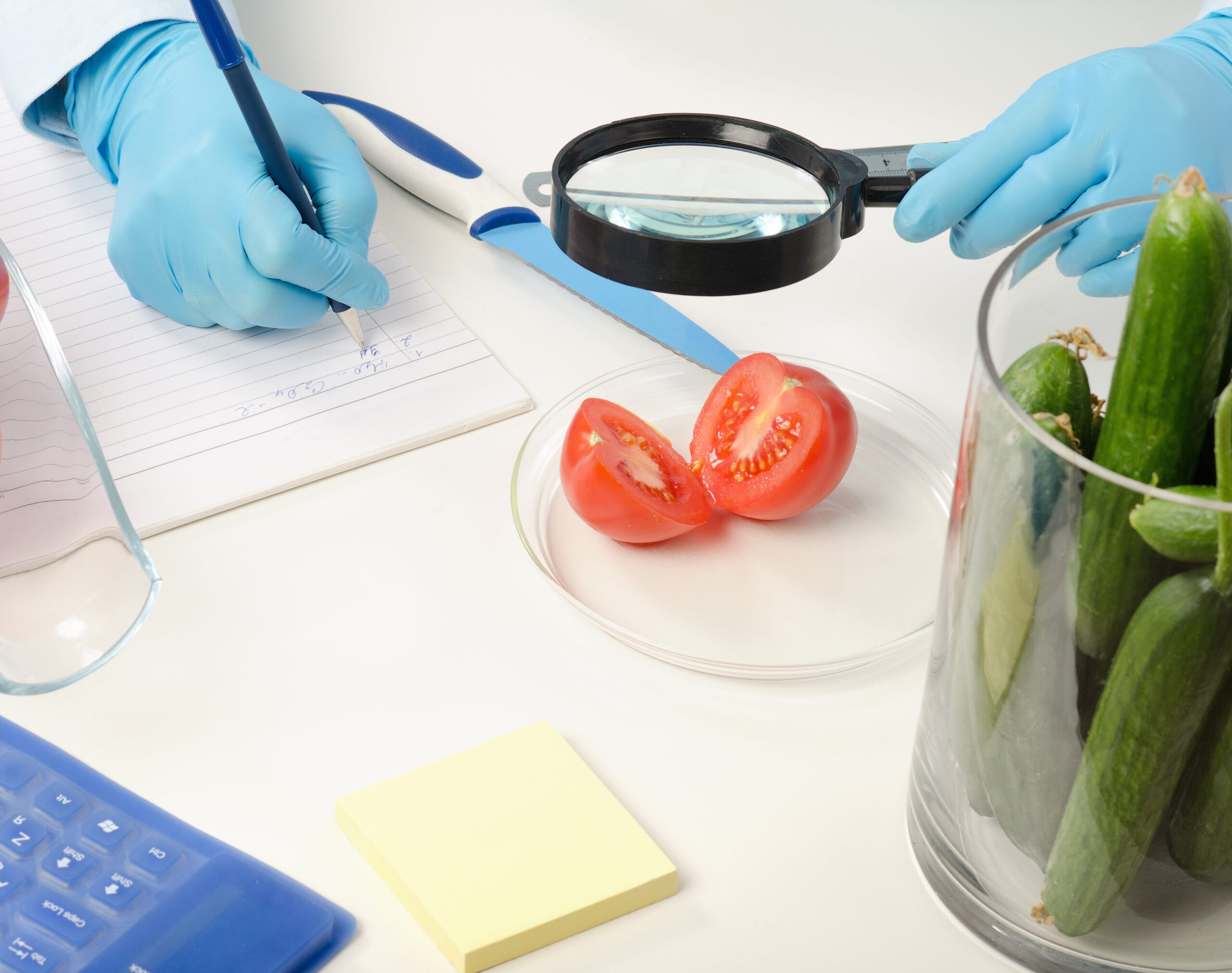 Sanitary and Phytosanitary controls after Brexit